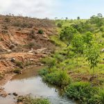 Recuperação de Áreas Degradadas PRAD Cosema Gestão Ambiental